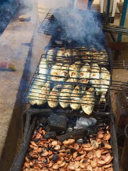 Argan shell barbecue