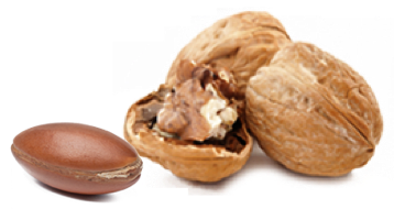 bio powder natural ingredients suppliers argan walnut shell powders