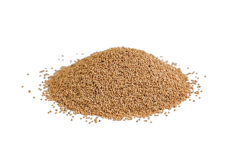 bio powder products Olivenkerne 800 - 1000 µm