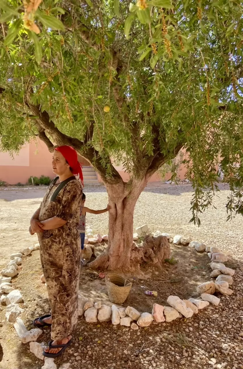 Cooperative director Aicha under argan tree